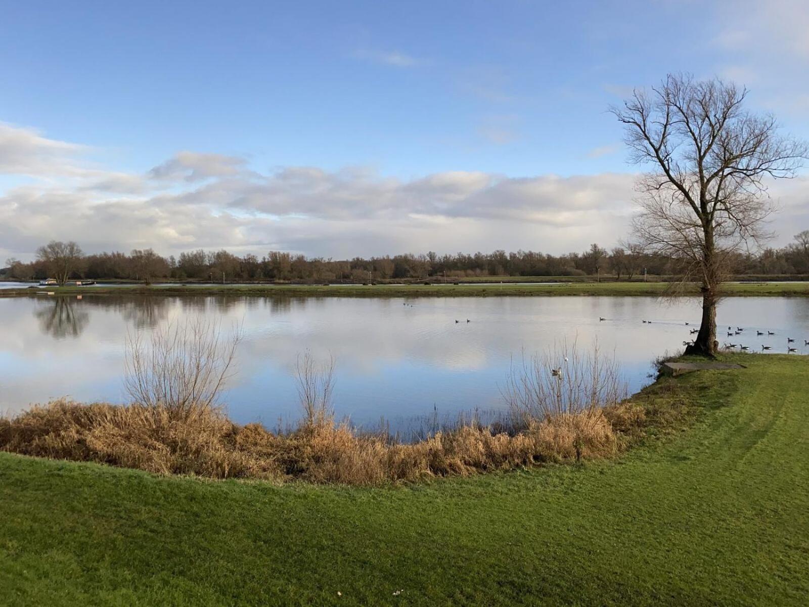 Recreatiepark En Jachthaven De Scherpenhof Terwolde Camera foto